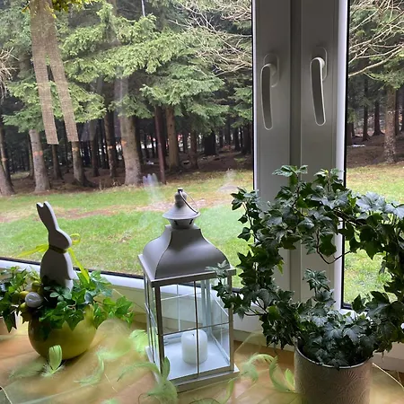 Agat Курортный комплекс Карпач